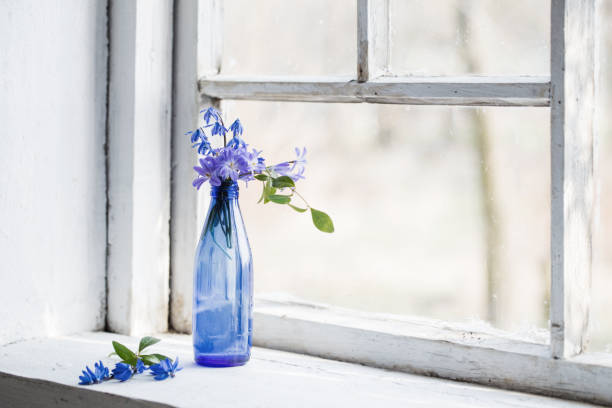 istock Blue snowdrop flowers in a dirty window in the spring 651356890