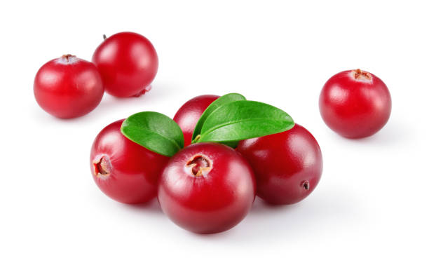istock Cranberry with leaves. Group of fresh berries isolated on white. With clipping path. Full depth of field. 651358284