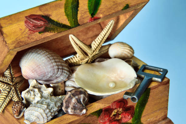 Wooden box with  pearl shell, shells, and a key for the treasure
