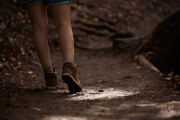 istock hiker woman in the forest 651455780