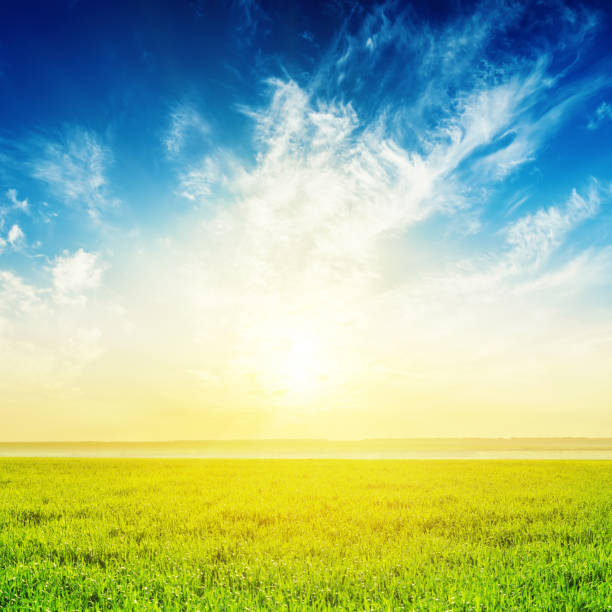 istock bright sunset in white clouds over green grass 651455958