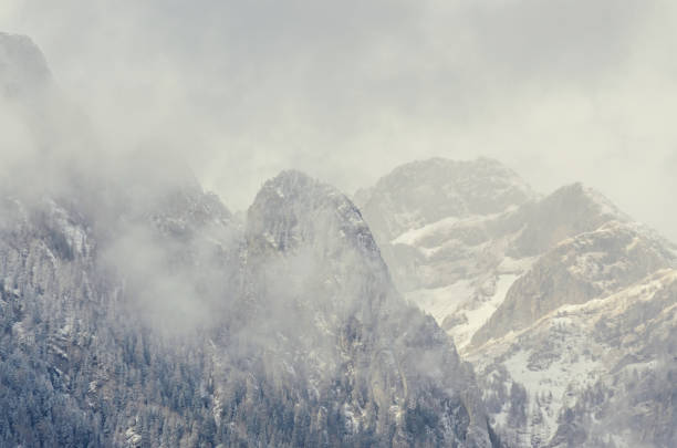 istock Romanian mountains range with pine forest and fog, winter time with snow 651455994