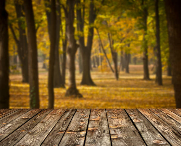 istock Autumn forest and wooden floor 651461784