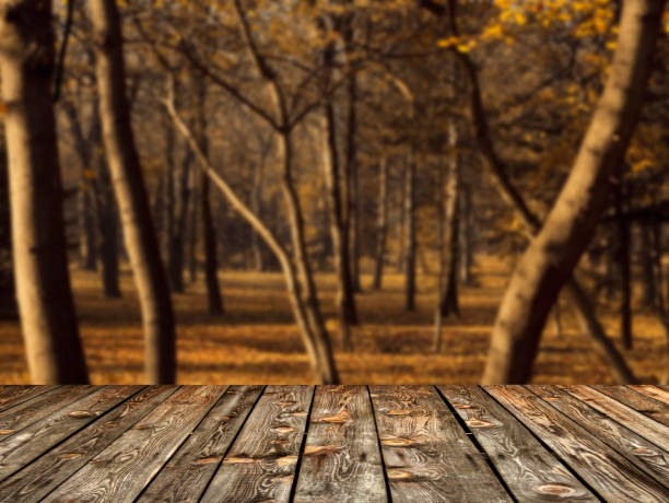 istock Beautiful autumn forest and wood floor background 651466824