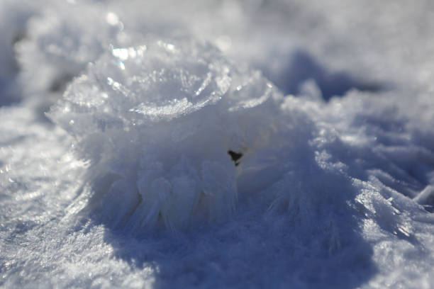 istock Snow crystals in the form of a flower. 651498610