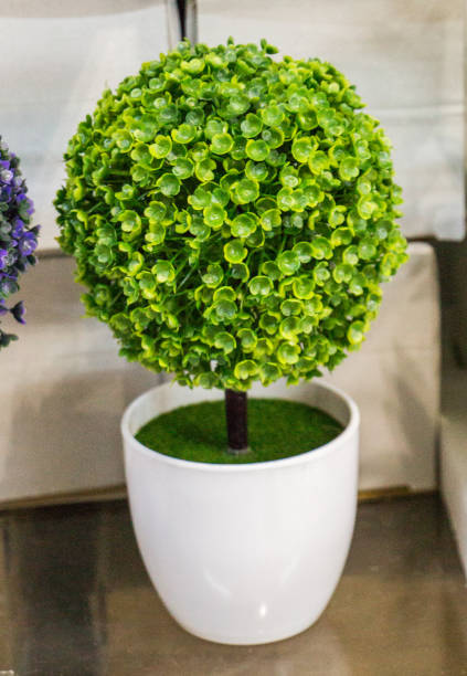 istock Fake flowers for decorative purposes 651505838
