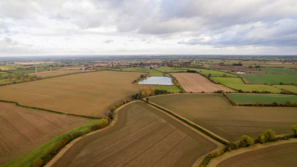 istock Lake in the countryside 651526194
