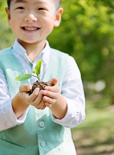 istock Littel boy holding plant 651550864