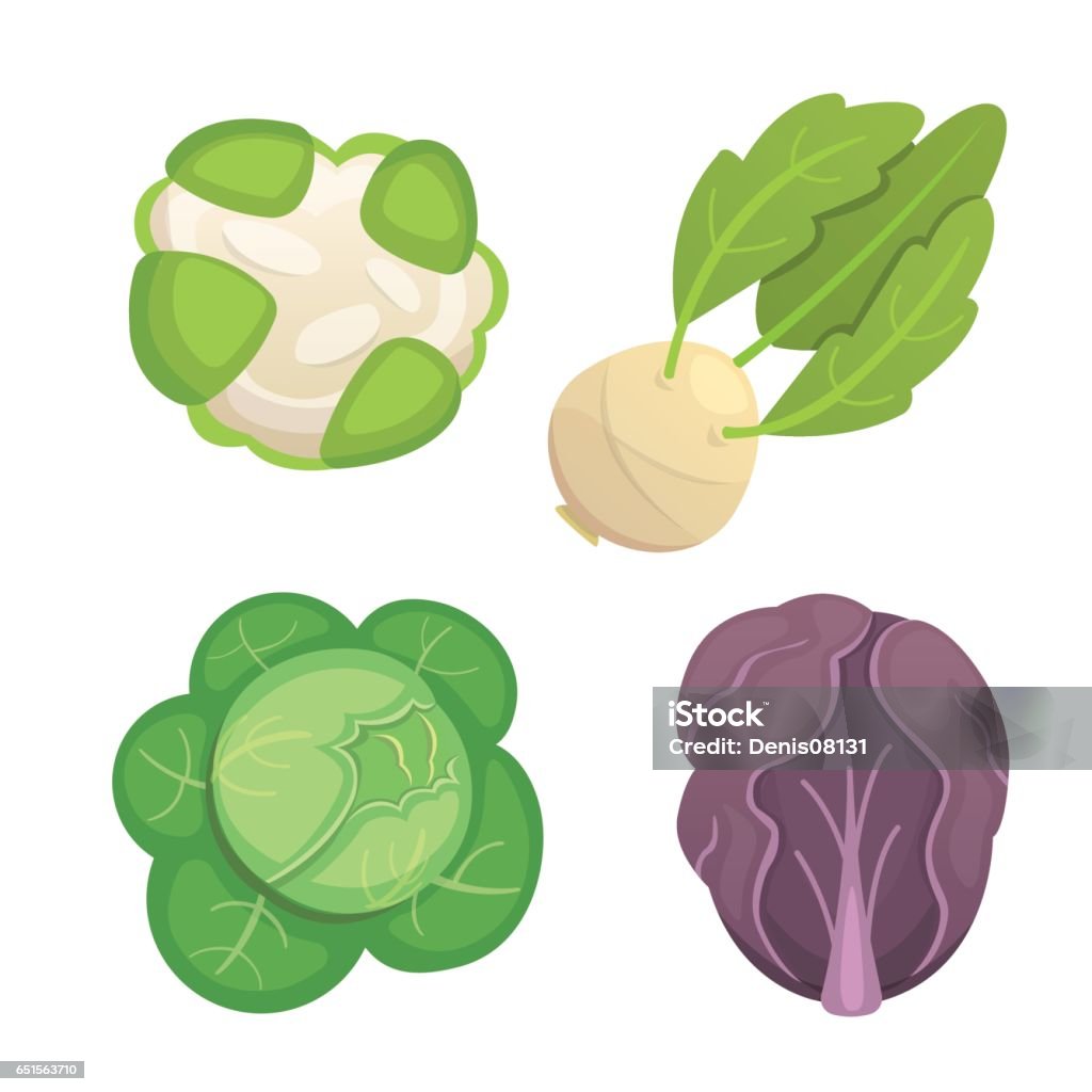 Vector Chou Set Vector Chou Et La Laitue Brocoli Légume Vert Chourave Autres Choux ...