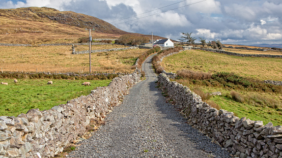 Countryside of Ireland