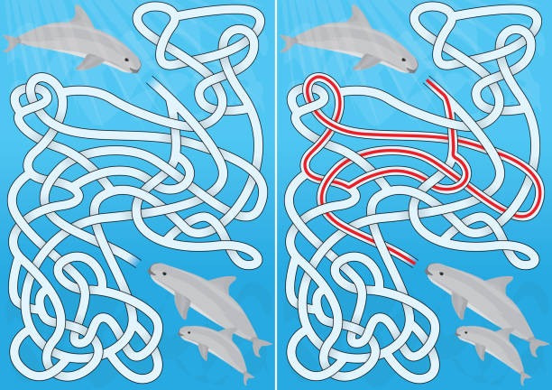  Ilustración de Laberinto De Vaquita y más Vectores Libres de Derechos de Vaquita marina