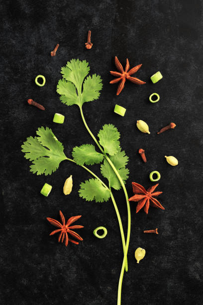 świeże zioła liście kolendry z anyżem star na czarnym tle - cardamom plant spice green zdjęcia i obrazy z banku zdjęć