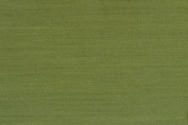 istock Book cover canvas textured green background 651671112