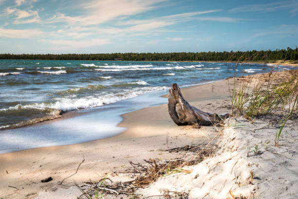 Lake Michigan beach with waves and driftwood
