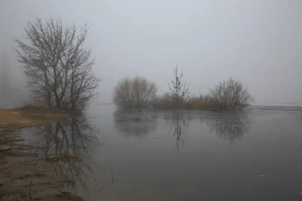 The season of high water and spring floods in the river.