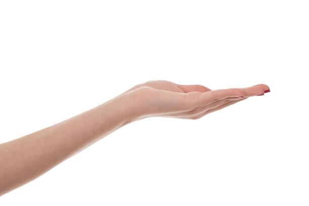 istock Empty female teen hand 651713058