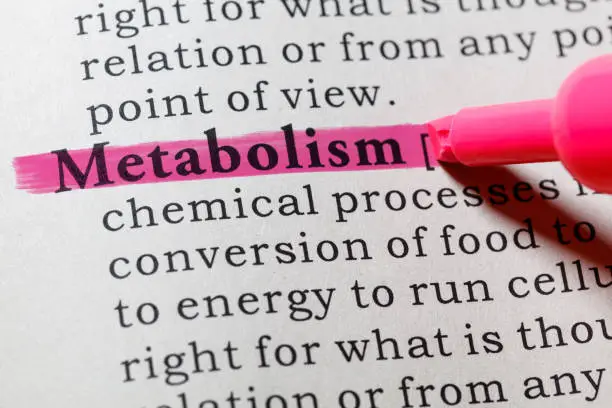 Photo of definition of metabolism