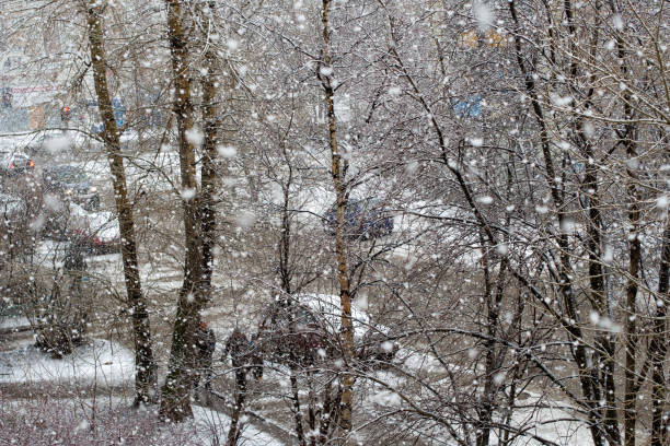 istock Heavy snowfall in the city 651736048