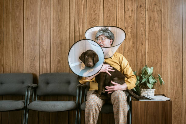 Man at Veterinarian Wearing Dog Cone A man and his puppy dog sit in the waiting room at a veterinary clinic, both of them wearing a dog cone collar to prevent from scratching and itching at fleas.  Retro styled room and clothing.  Horizontal image with copy space. owner photos stock pictures, royalty-free photos & images