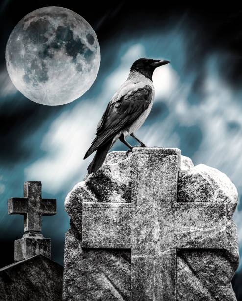 istock Crow sitting on a gravestone in moonlight at cemetery 651749460