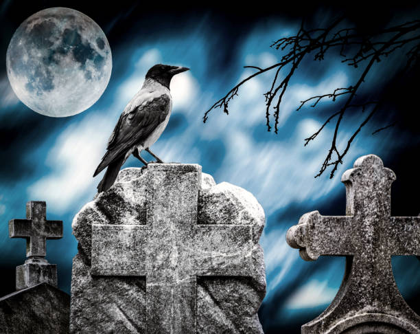 istock Crow sitting on a gravestone in moonlight at cemetery 651749470