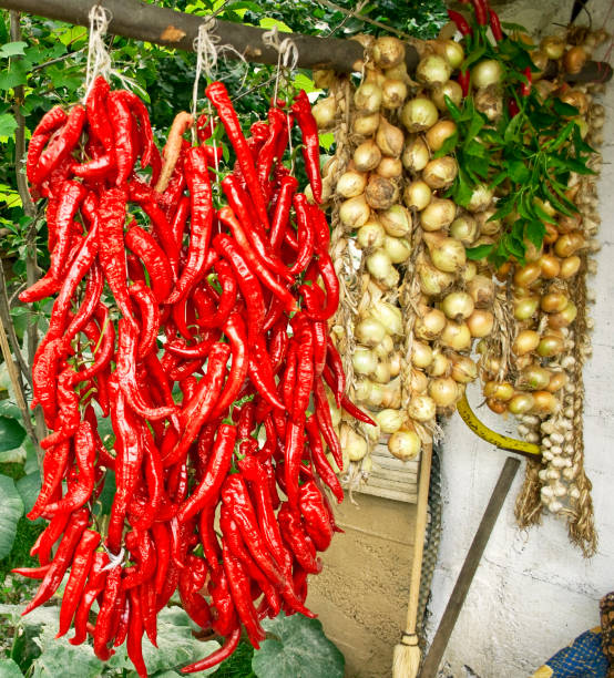 istock Dried vegetables - peppers and garlic 651750432