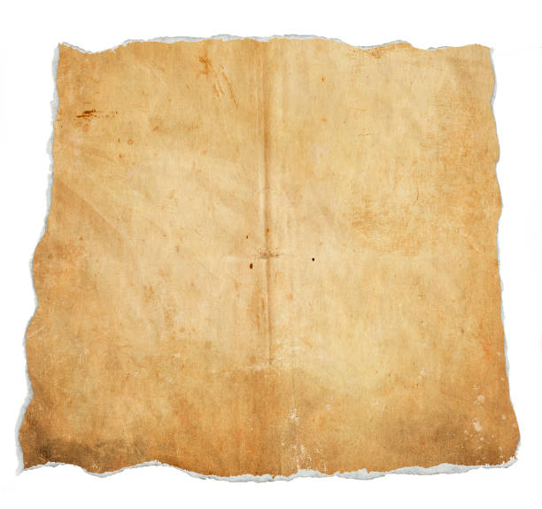 istock Empty grunge paper page with ragged edges 651750724