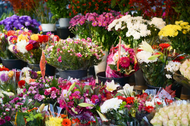 istock Flower market with various multicolored fresh flowers 651753720