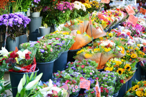цветочный рынок с различными разноцветными свежими цветами - tulip blue close up cut flowers стоковые фото и изображения