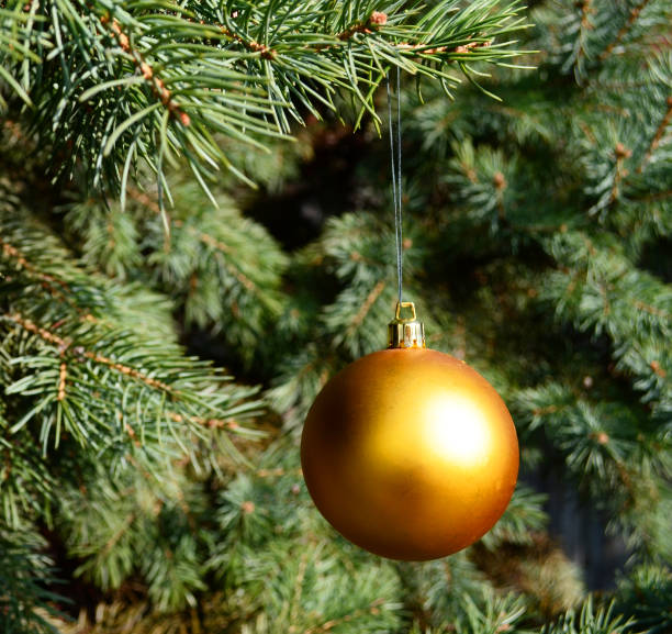 istock Golden bauble ornament on Chrtistmas tree closeup 651754576