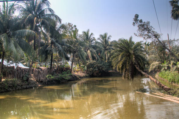 istock Small pond in Bagerhat, Bangladesh 651773942