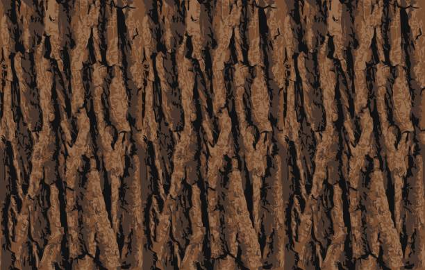 bezszwowa tekstura kory drzewa. niekończące się drewniane tło do wypełniania stron internetowych lub projektowania graficznego. wzór wektora dębu lub klonu - pattern wood backgrounds repetition stock illustrations