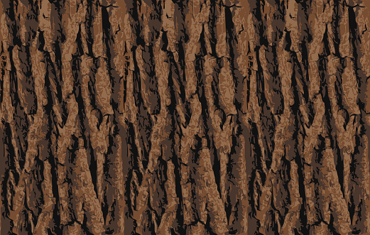 Bark seamless pattern