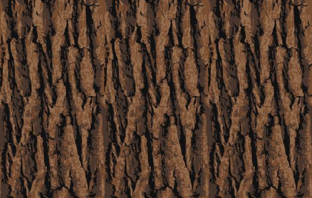 Seamless tree bark texture. Endless wooden background for web page fill or graphic design. Oak or maple vector pattern Bark seamless pattern hardwood stock illustrations