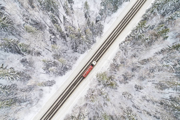 Aerial view of road in winter forest