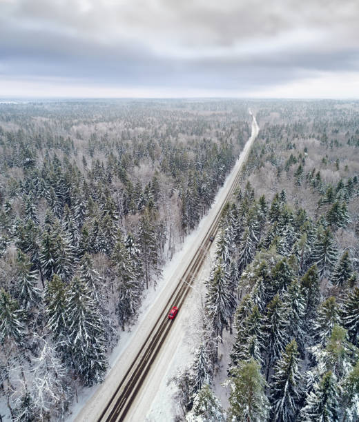 istock Aerial view of road in winter forest 651783828