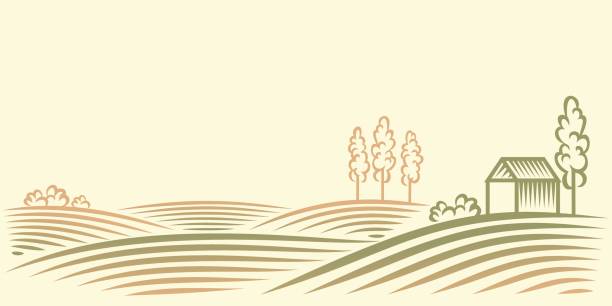сельский пейзаж с полями, домом и деревьями - tuscany vineyard italy agriculture stock illustrations