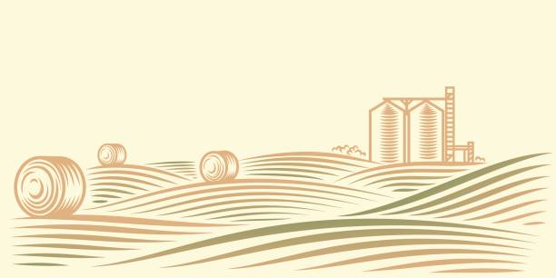 Rural landscape with fields, haystacks and grain elevator Rural landscape with fields, haystacks and grain elevator. Vector illustration silo stock illustrations