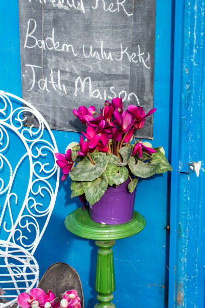 istock Flower pot with beautiful flowers in it 651799214