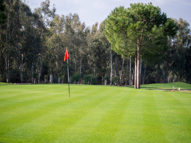 istock Photo of Golf course in the countryside 651801630