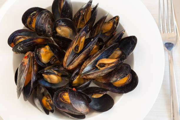 istock Italian cuisine. Mussels 651812518