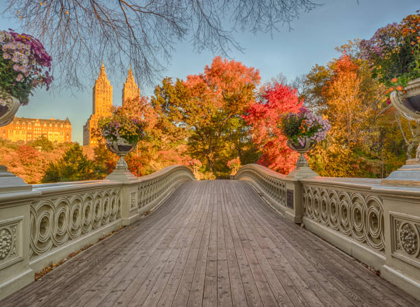 ponte di prua central park - autumn park central park lake foto e immagini stock