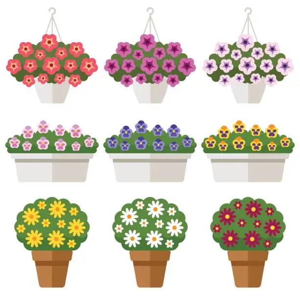 Vector illustration of Outdoor potted flowers