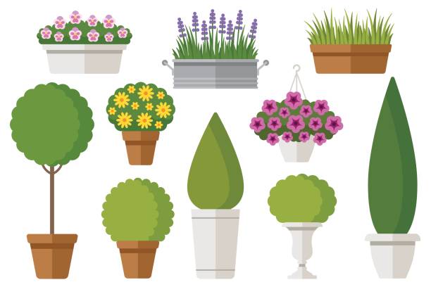 Outdoor potted plants Vector set of outdoor potted plants: bushes, trees, flowers. Isolated on white. Flat style. potted plant stock illustrations