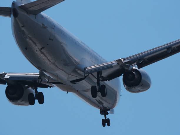 istock Closeup of airplane landing 651960550
