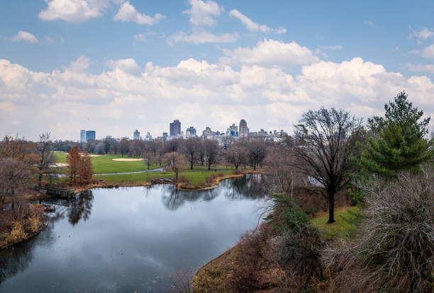 istock Panoramic view of Central Park - New York, USA 652107266