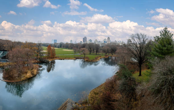 istock Panoramic view of Central Park - New York, USA 652112594