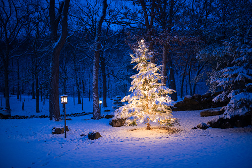 Holiday background with illuminated Christmas tree.