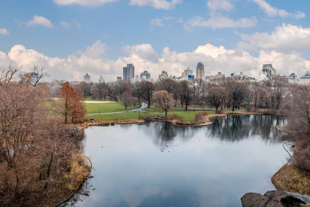 istock Panoramic view of Central Park - New York, USA 652112904