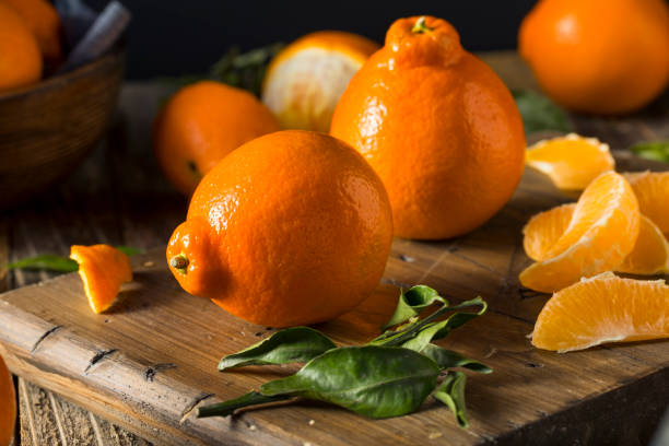 istock Raw Organic Minnela Tangerines 652113216
